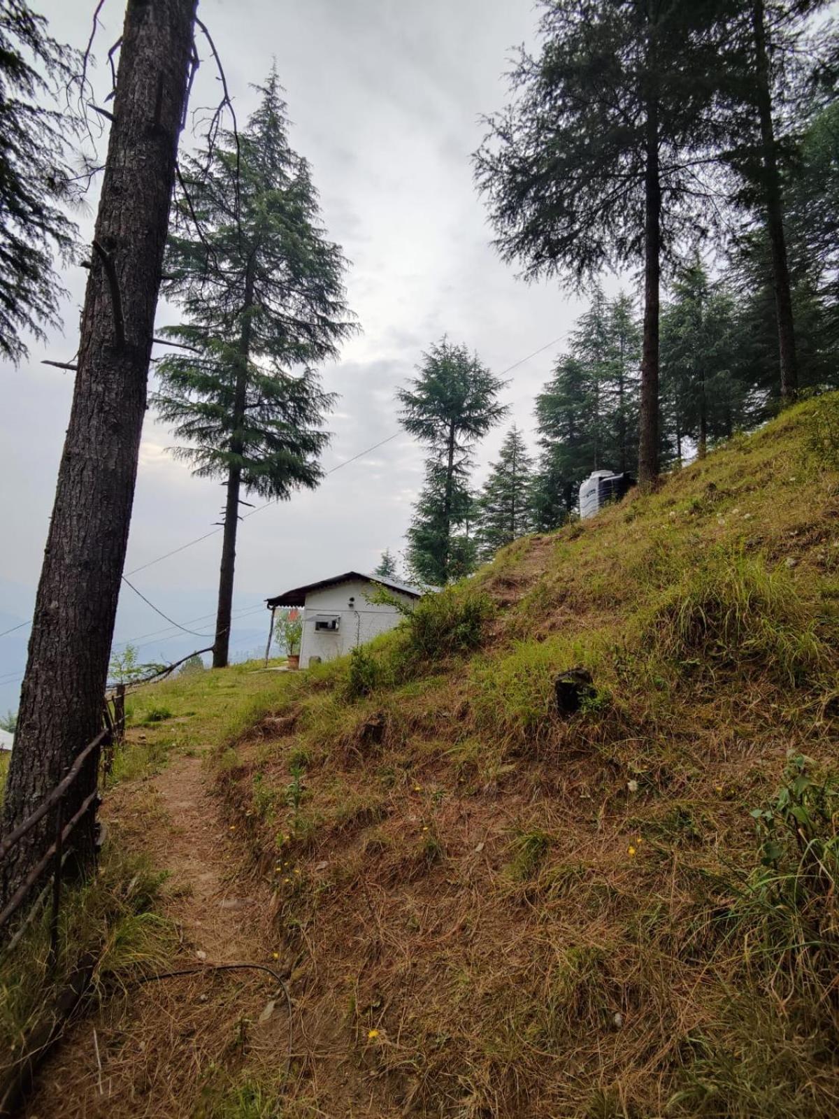 Little Himalayan Abode Βίλα Almora Εξωτερικό φωτογραφία